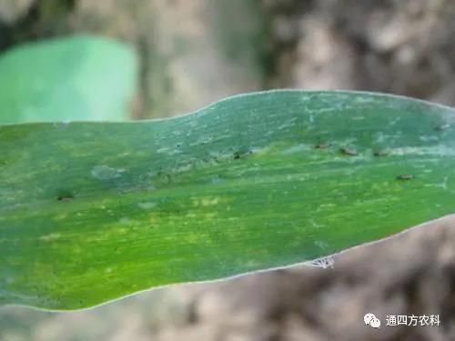 ���הQ����ô�k����ץ�o��Q��Ӱ푮a(ch��n)��!!!