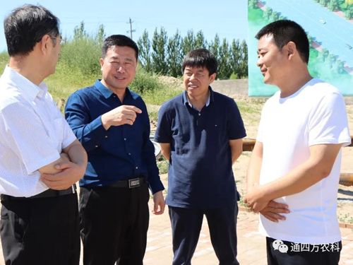 ��(n��i)�ɹ����΅^(q��)�˴�ί��(hu��)�x��ί���ΌO���|һ�� �����(n��i)�ɹ�ͨ�ķ��r(n��ng)�I(y��)�Ƽ����޹�˾